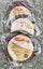 Window seal - 8mm tall by 9mm wide - 5m roll - 3 packs Carousel 1