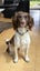 Margot is looking for a New Home Carousel 4
