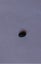 Polished Deep Cabochon Corundum with sapphire inclusion Carousel 4