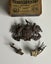 WW1 8th South Canterbury Rifles Cap & Collar Badges Carousel 2