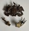 WW1 8th South Canterbury Rifles Cap & Collar Badges Carousel 8