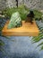 NZ POUNAMU TOKI + TOUCHSTONE + NATIVE TOTARA BASE Carousel 5