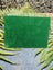 NZ POUNAMU TOKI + TOUCHSTONE + NATIVE TOTARA BASE Carousel 9