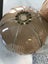 Lamps ceiling lamp shade glass 70? Carousel 1