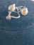 ESTATE SALE - Jewellery Collection Bulk Lot 2 Carousel 9