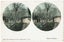 Oamaru Gardens,Stereoscopic Post Card Carousel 1