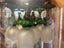 ART COLLECTION + Pottery ( 4 paintings) Carousel 8