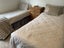 Single Beds x 2 Carousel 1