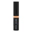 Bobbi Brown Skin Concealer Stick - # Warm Beige 3g/0.1oz Carousel 2