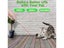 PTN NEW Rechargeable Laser Pointer Sale Sale Sale Carousel 17