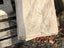 Assorted Porcelain tiles Carousel 4