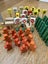 170 piece Wooden Train set Carousel 12