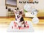 Self Heating Pad for Cat Dog NZ Clearance Carousel 3