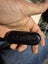 HUAWEI wireless earphones buds$1!!! Carousel 6