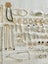 June auction: 100 items jewelry bulk auction earrings rings necklaces charm Carousel 4