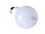 Motion Sensor Light Bulb NZ Local Buy Carousel 4