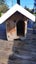 Dog Kennel Carousel 1