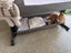 Babyco Co Sleeper Cot Carousel 3