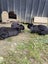 Purebred Mini lop Rabbit Babies Carousel 1