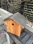 Larch Birdhouse with Cleanout Drawer- (Get now ready for Spring Nesting Season) Carousel 13