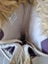 Sorel Women's Purple Tofino II NL1909-507 Faux Fur Waterproof Snow Boots UK 5.5 Carousel 8