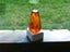 JEWELLERS ESTATE MUSEUMS RARE KAURI AMBER/GUM MINIATURE PYRAMID PILLAR DISPLAY. Carousel 3