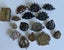 Australian WW1 & WW2 cap badges Carousel 2