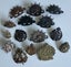 Australian WW1 & WW2 cap badges Carousel 18