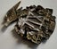 14th South Otago Cap Badge Carousel 6