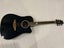 SX Acoustic electric Carousel 1