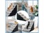 PTN NEW Dog Stairs Sale Sale Carousel 12