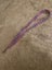Smiggle poppit lanyard, purple, pink and blue Carousel 1