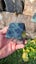 Greenstone blocks Carousel 4