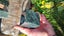 Greenstone blocks Carousel 10