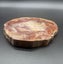 Natural Beauty: Petrified Wood Polished Slice /Natural Fossil Wood Carousel 3