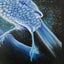 Pukaha Fundraiser: 'A Tribute to Kahurangi ' Signed Original A3 Painting Carousel 3