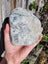 Serpentine diopside specimen 1.7kg Nelson $1 RESERVE Carousel 1