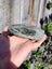 Serpentine diopside specimen 1.7kg Nelson $1 RESERVE Carousel 8