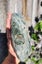 Serpentine diopside specimen 1.7kg Nelson $1 RESERVE Carousel 14