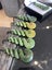 Pounamu Greenstone Jade Pendant Carousel 3