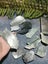 NZ Pounamu ( offcuts ) carvers stone #2 Carousel 5