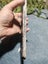 NZ Aroha stone, "piedmont Schist" cut slabs 2.97lb Carousel 4