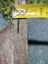NZ Aroha stone, "piedmont Schist" cut slabs 2.97lb Carousel 8