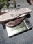 NZ Aroha stone, "piedmont Schist" cut slabs 2.97lb Carousel 9
