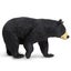 Safari Ltd Black Bear XL Carousel 3