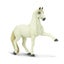 Safari Ltd Andalusian Stallion Carousel 3