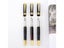 Luxury Noble Golden Silver Stainless Fountain Pen Hot Sale Nib Gift School Carousel 6