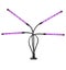 Loading Image 1 of 7