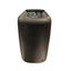 IDANCE SPEAKER Carousel 2