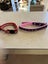 1 kitten collar / 1 cat collar Carousel 1